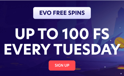 Payments & Withdrawal Evospin Casino